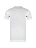 Tričko  M pánské model 21144961 - Alpinus