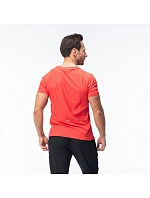 Pánské tričko model 22098410 s krátkým rukávem - IQ Pánské tričko model 22098410 s krátkým rukávem - IQ