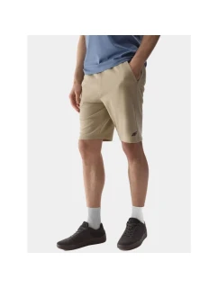 Pánské teplákové šortky model 21434700 - 4F