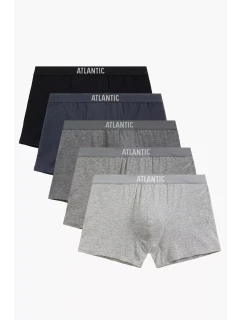 model 21418204 - Atlantic