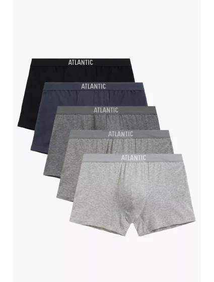 model 21418204 - Atlantic model 21418204 - Atlantic