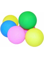 NA STOLNÍ TENIS NEJLEPŠÍ SPORTOVNÍ model 21825925 - BEST SPORTING NA STOLNÍ TENIS NEJLEPŠÍ SPORTOVNÍ model 21825925 - BEST SPORTING