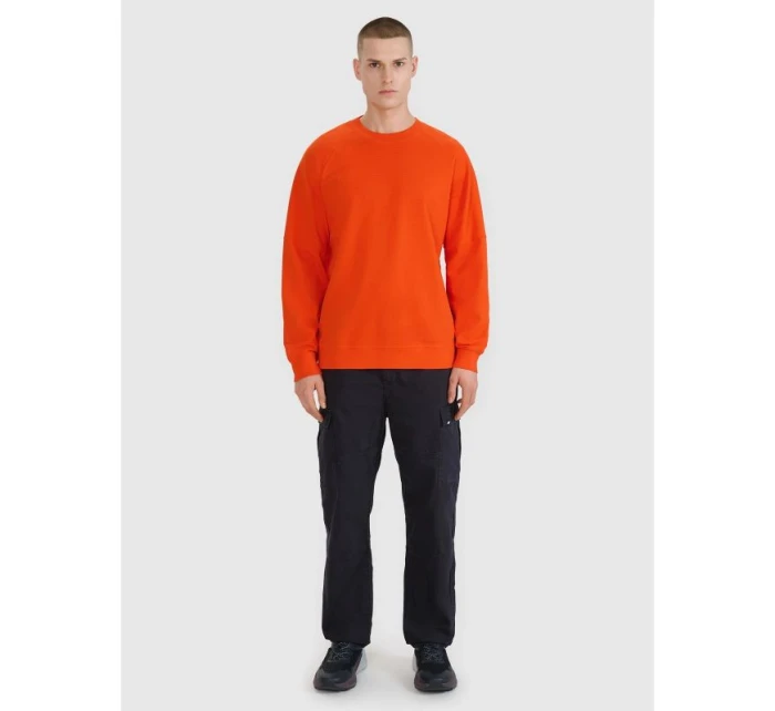 Pánská mikina s kapucí model 21436687 pánské - 4F Pánská mikina s kapucí model 21436687 pánské - 4F