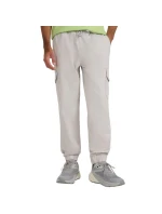 Pánské kalhoty 4F CAS M1210 cool light grey 4FWAW25TTROM1210 27S