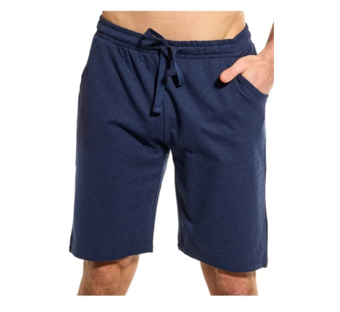 PÁNSKÉ ŠORTKY model 21074699 - Noviti