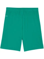 Pánské šortky Puma Team Goal zelené 705752 05 Pánské šortky Puma Team Goal zelené 705752 05