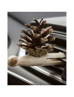 Zestaw 1 x + 1 (LP) model 21357821 - Pani Szyszka Zestaw 1 x + 1 (LP) model 21357821 - Pani Szyszka