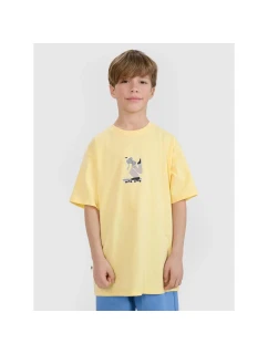 Chlapecké tričko s potiskem 4F 4FJRSS25TTSHM2641-73S