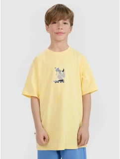 Chlapecké tričko s potiskem 4F 4FJRSS25TTSHM2641-73S