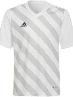 Dětské tričko Entrada 22 Graphic Jersey Jr HF0120 - Adidas