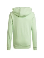 Mikina adidas Big Logo Hoodie Jr IS2591 Mikina adidas Big Logo Hoodie Jr IS2591