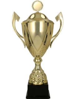 Hrnek s víčkem DARKA