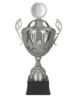 Stříbrný kovový hrnek s víčkem model 21827362