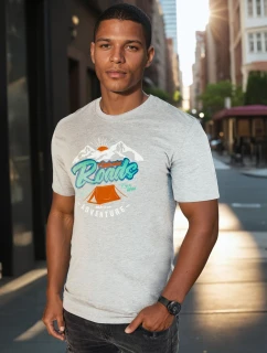 Pánské šedé tričko s potiskem Dstreet RX5401