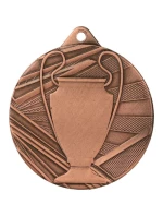 Celková bronzová medaile s pohárem