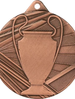 Celková bronzová medaile s pohárem