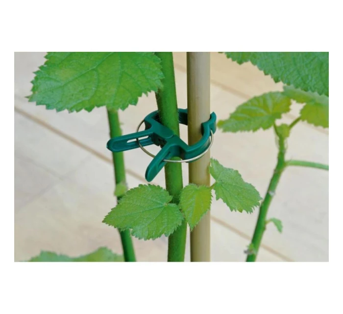 SPONKY NA ROSTLINY 20KS KINZO