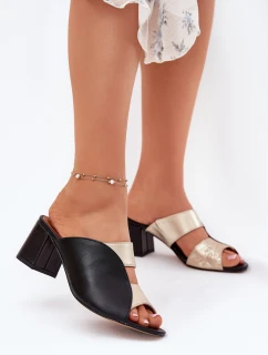 Kožené Dámské Klapky Na Podpatku model 21697462 - Maciejka