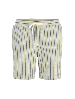Jack&Jones pánské pruhované šortky JPSTJAIDEN COBA STRIPE JOG SHORTS REG SN 12274413 TEA/STRIPES