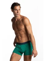 SZORTY MĘSKIE model 20720887 2pack - Lama