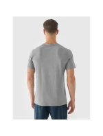 Pánské pravidelné rychleschnoucí tréninkové tričko 4F 4FWAW24TFTSM1003-25M