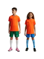 Nike Dri-Fit Park VIII Dětské tričko oranžové HV8182 819