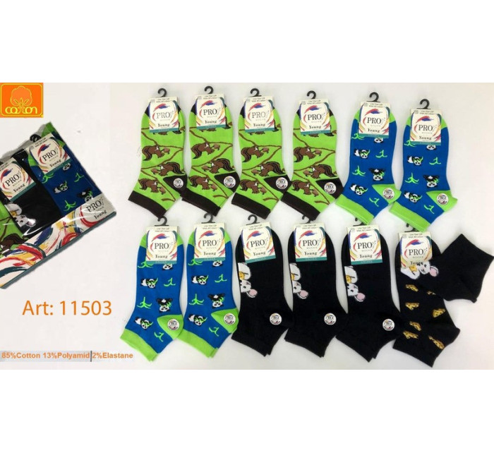 Vzorované pánské ponožky model 16249820 - PRO