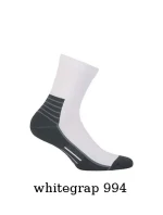 Ponožky  Frotte pánské W AG+ model 5794483 - Wola