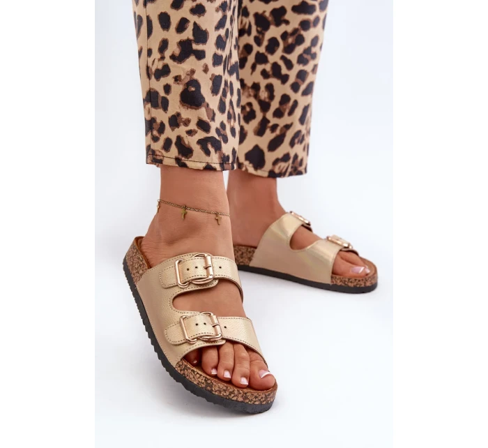 Dámské pantofle Fronila se zlatými přezkami Dámské pantofle Fronila se zlatými přezkami