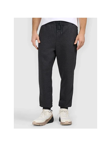 Pánské tepláky typu jogger model 21870710 - 4F