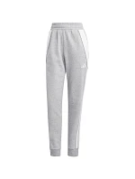Dámské kalhoty Tiro 24 šedé, 2XL model 22306554 - ADIDAS Dámské kalhoty Tiro 24 šedé, 2XL model 22306554 - ADIDAS