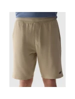 Pánské teplákové šortky model 21434700 - 4F Pánské teplákové šortky model 21434700 - 4F