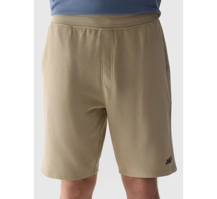 Pánské teplákové šortky model 21434700 - 4F Pánské teplákové šortky model 21434700 - 4F