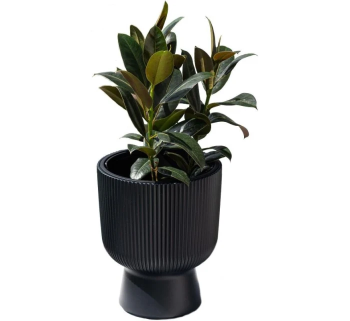 MILLY květináče na podstavci 24CM GREEN PINA dětské