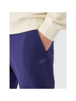 Pánské tepláky typu jogger 4F 4FWMM00TTROM1139-31S