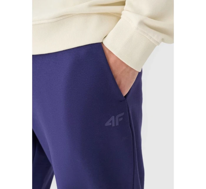 Pánské tepláky typu jogger 4F 4FWMM00TTROM1139-31S