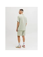 Jack&Jones pánské pruhované šortky JPSTJAIDEN COBA STRIPE JOG SHORTS REG SN 12274413 TEA/STRIPES