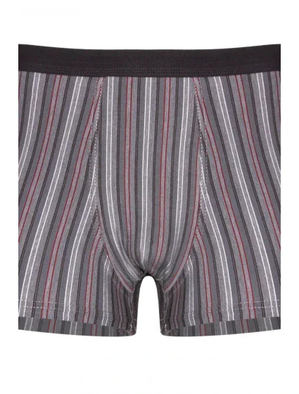 Pánské boxerky 233/85 Various perfect - CORNETTE Pánské boxerky 233/85 Various perfect - CORNETTE