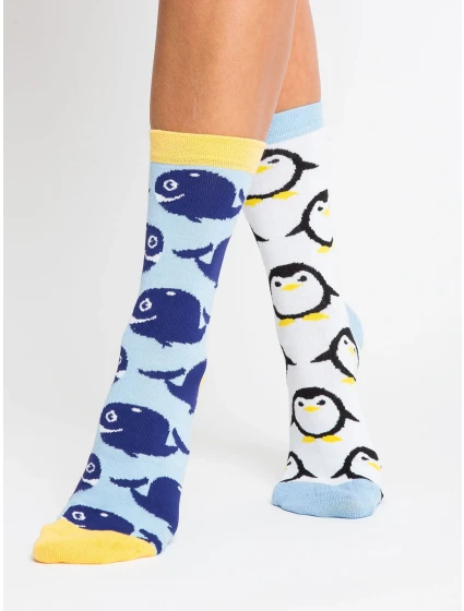 Ponožky WS SR 5542.08X vícebarevné Ponožky WS SR 5542.08X vícebarevné