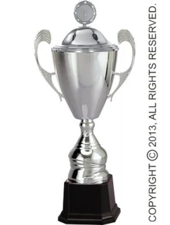 Stříbrný kovový hrnek s víčkem