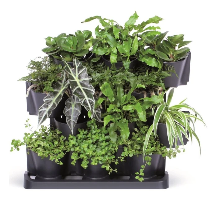 ZAHRADNÍ KVĚTINY STOJÍCÍ ANTHRACITE pro děti ZAHRADNÍ KVĚTINY STOJÍCÍ ANTHRACITE pro děti