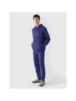 Pánská mikina s kapucí 4F 4FWMM00TSWSM1766-31S s pánskými motivy