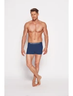Pánské boxerky   model 21269766 - Henderson