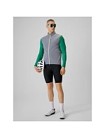 Pánské cyklistické šortky s vložkou model 22220408 - 4F Pánské cyklistické šortky s vložkou model 22220408 - 4F