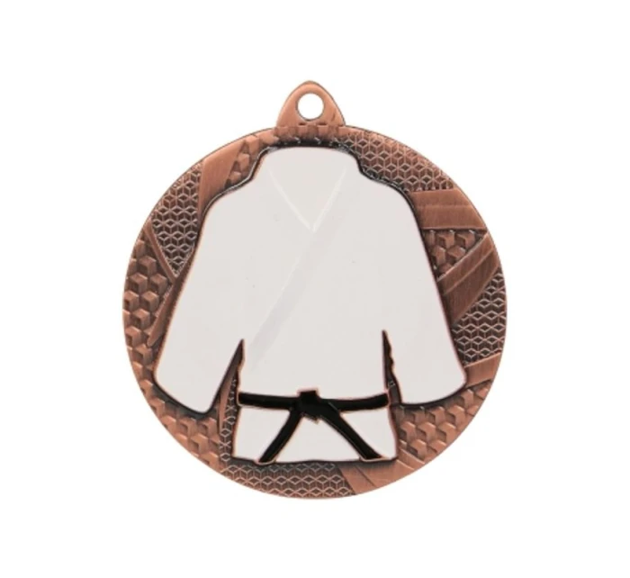 Bronzová medaile v judu/karate