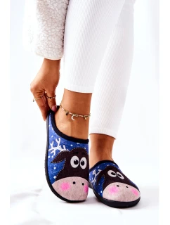 Hřejivé pantofle Model Modré model 21570624 - Boto
