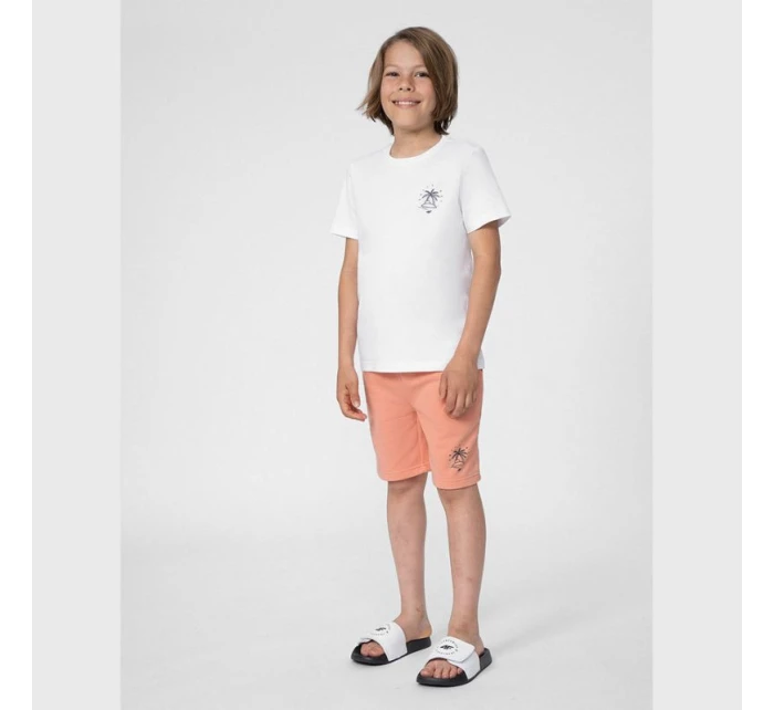 Chlapecké juniorské šortky 4FJSS23TSHOM047 64S - 4F