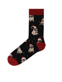 Pánské ponožky model 21760149 - John Frank