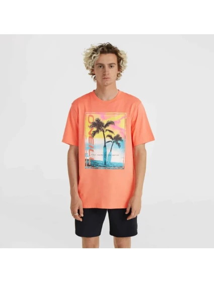 O'Neill Jack Neon TShirt M model 20119127 - ONeill