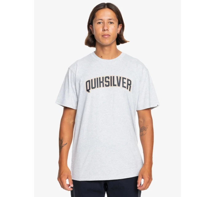 Pánské tričko model 21279773 - Roxy